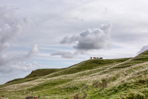 Kystskrænterne ved Tæbring, Mors, sep. 2019
