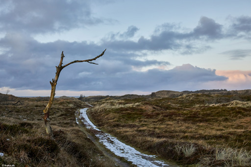 Bøgsted Rende, Thy, jan. 2021