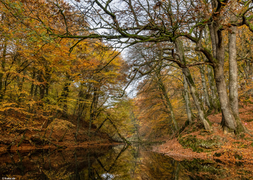 Troldeslugten ved Hald Sø, Viborg, okt. 2021