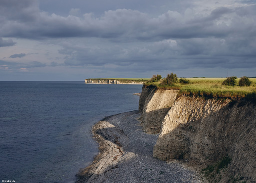 Sangstrup Klint, Norddjurs, juni 2023